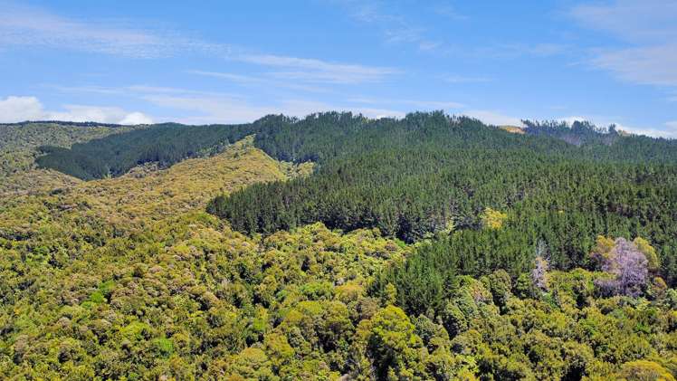 700 Burma Road Maraetotara_8