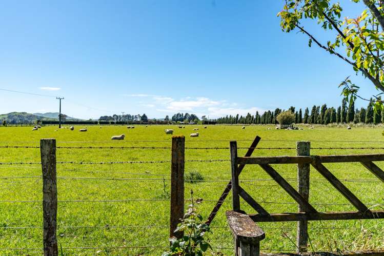 535 Paierau Road Opaki_18