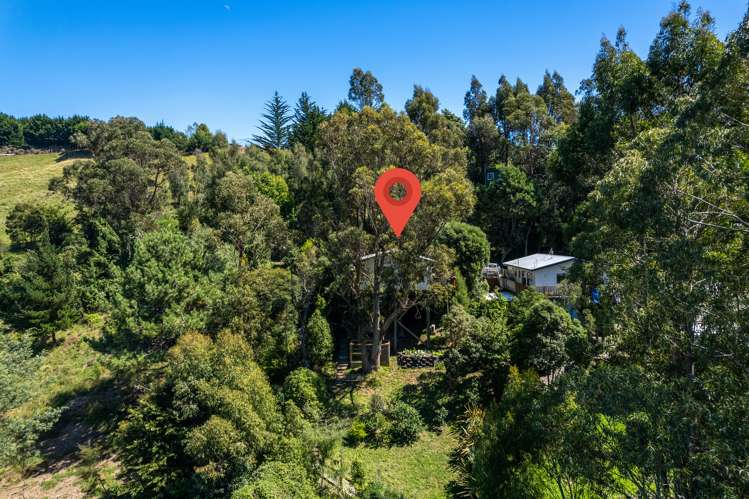 49 Thompson Terrace Toi Toi_3