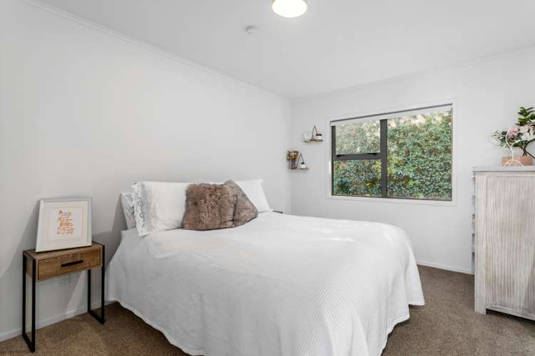 26 Bridge Street Whakatane_12