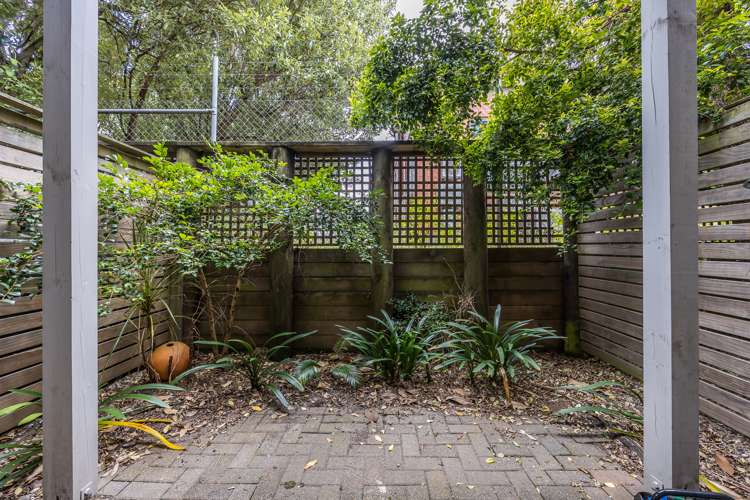 7 Dovedale Place Parnell_15