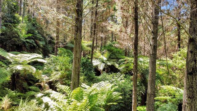 700 Burma Road Maraetotara_1