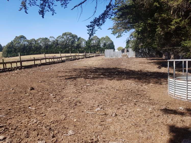 293 Freezing Works Road Balclutha_11