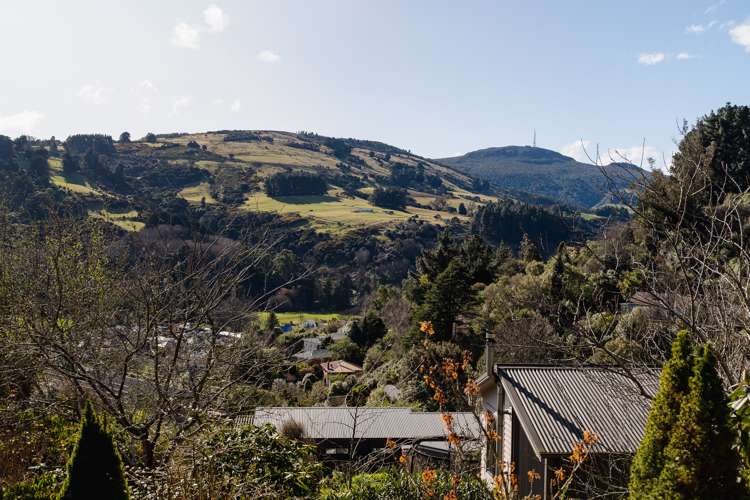 36 Cardigan Street North East Valley_4