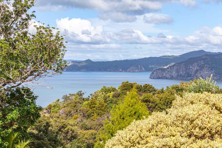 15 Puriri Place Coromandel_22