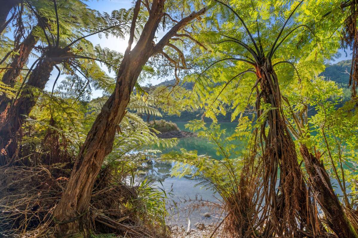 Lot 2 Yncyca Bay_5