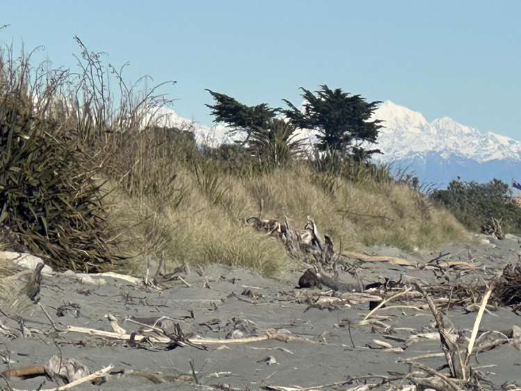 245 Revell Street Hokitika_7