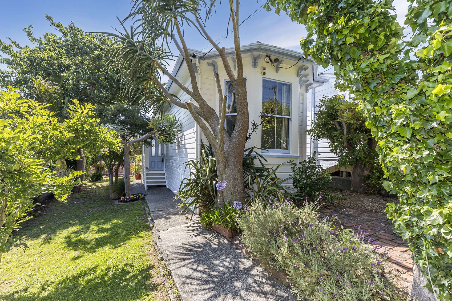 81 Stanley Street Berhampore_0