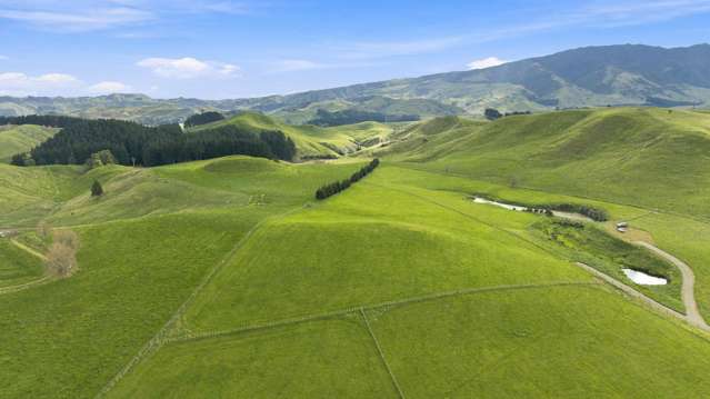447 Pinfold Road Papatawa_3