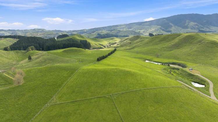 447 Pinfold Road Papatawa_3