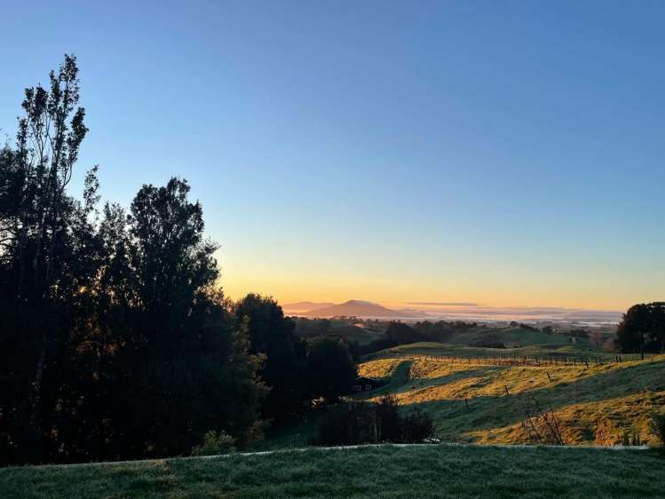 194D Pekanui Road Pirongia_19