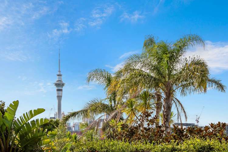 29 Franklin Road Ponsonby_12