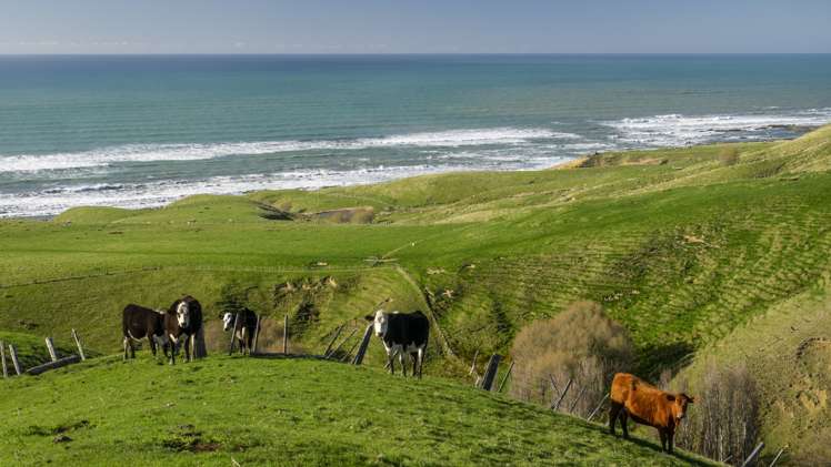 631 Otahome Road Whareama_3