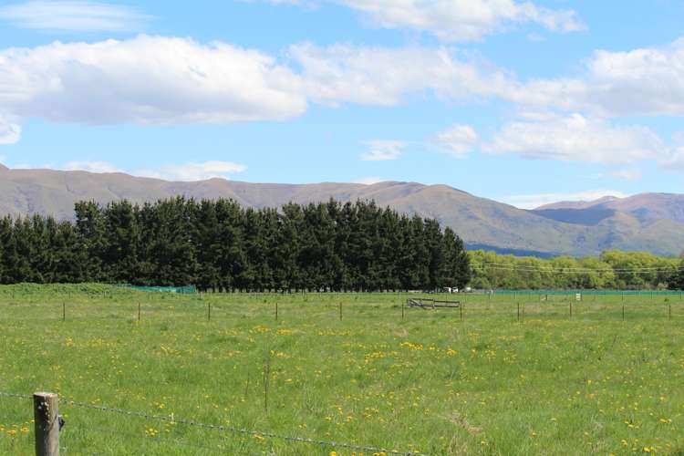 40 Clayton Road Fairlie_8