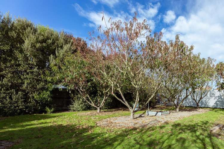 37 Gray Street Hinds_22