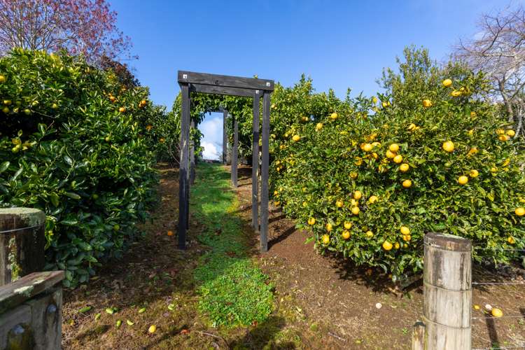 101 Logan Road Pukekawa_17