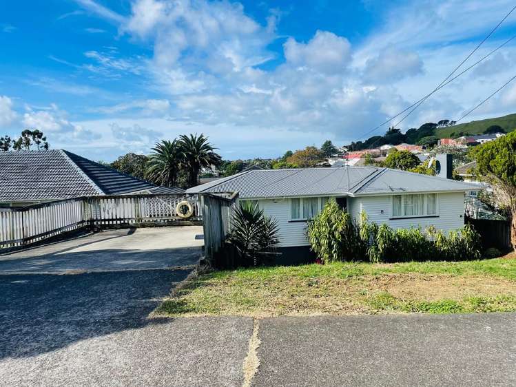 3 Marion Avenue Mount Roskill_1