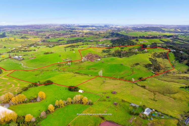 462 Kahikatea Flat Road_1