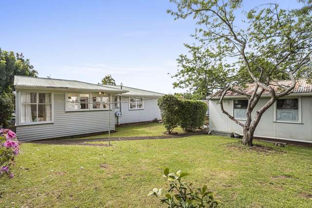 24 Te Koa Road Panmure_1