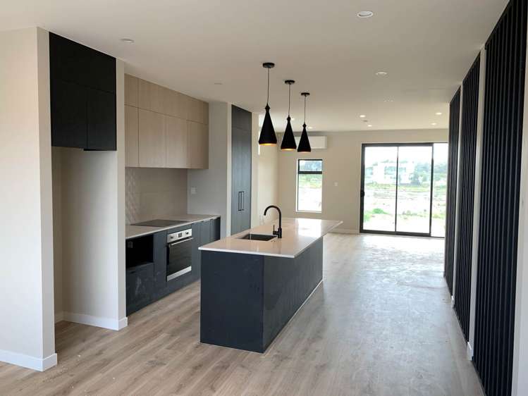 42 Willowherb Lane Hobsonville_2