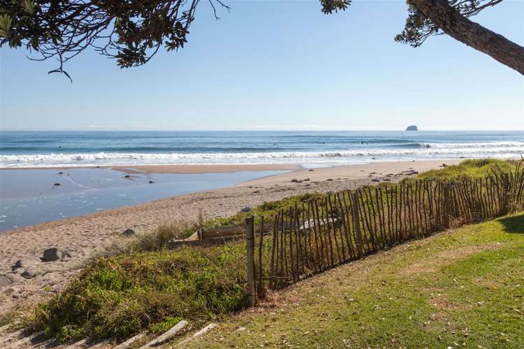 34 Pye Place Hot Water Beach_29