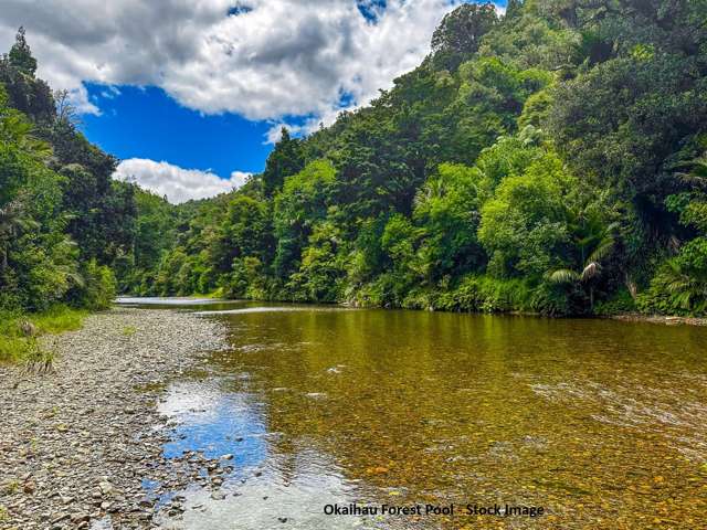Lot1 Waiare Road Okaihau_3