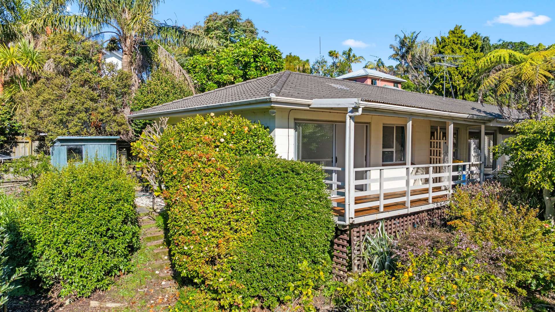 2/3 Holt Avenue Torbay_0