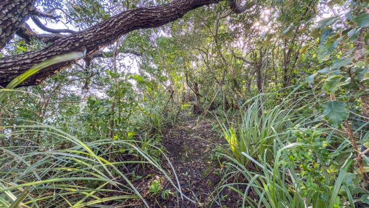 1586 Port Charles Road Port Charles_19