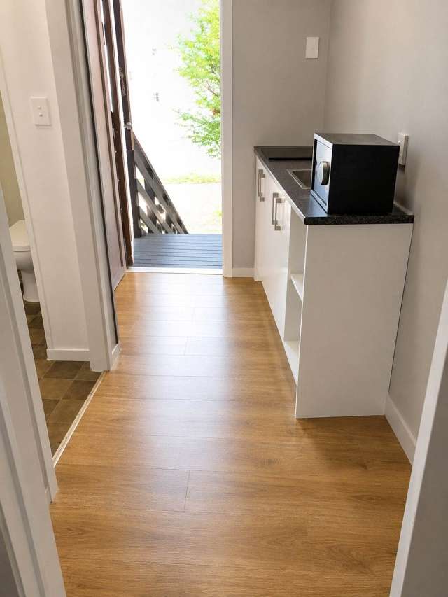 Tidy studio in Mt Eden