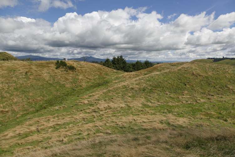 459 Otake Road Marotiri_5