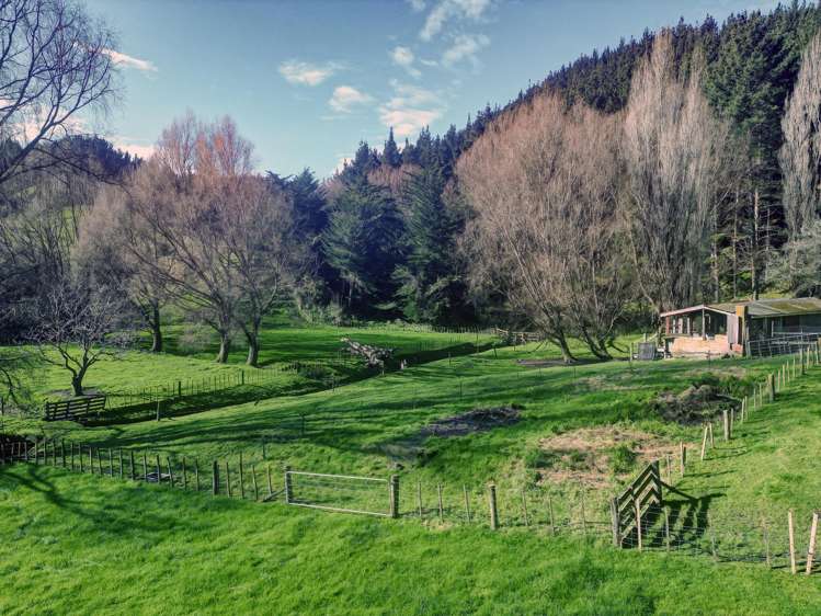 Kaukatea Valley Road Okoia_7