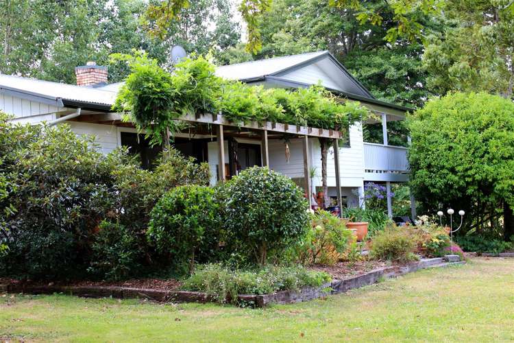 895 State Highway 25 Waitakaruru_11