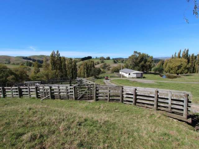 1415 Porangahau Road Central Hawkes Bay Country_2