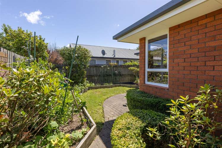 1/11 Rossiter Avenue Redwood_12
