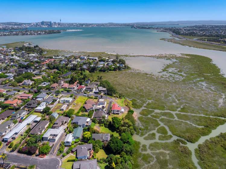 2 Francis Street Hauraki_9