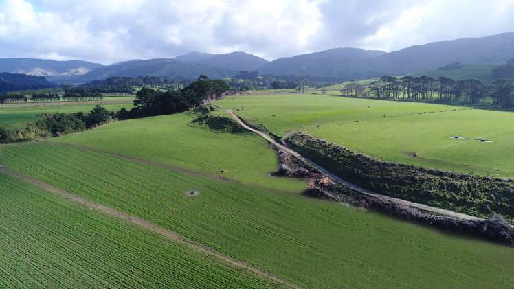 579 Kopikopiko Road Eketahuna_1