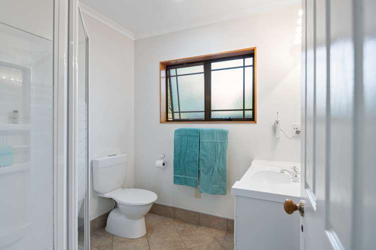 13 Reynolds Drive Glenview_9