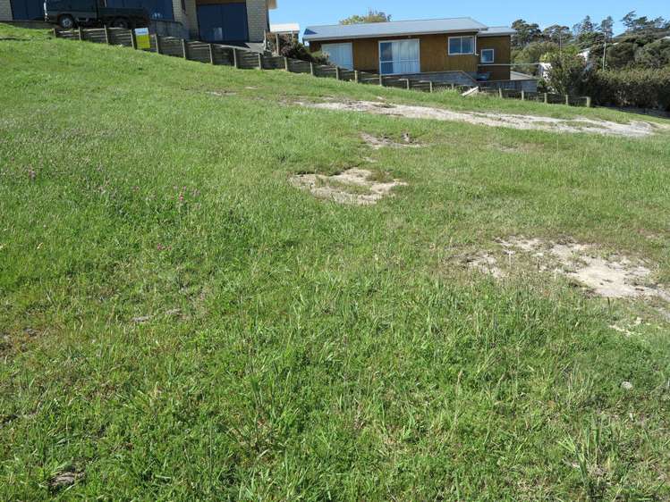 91 Bay Heights Drive Karikari Peninsula_6