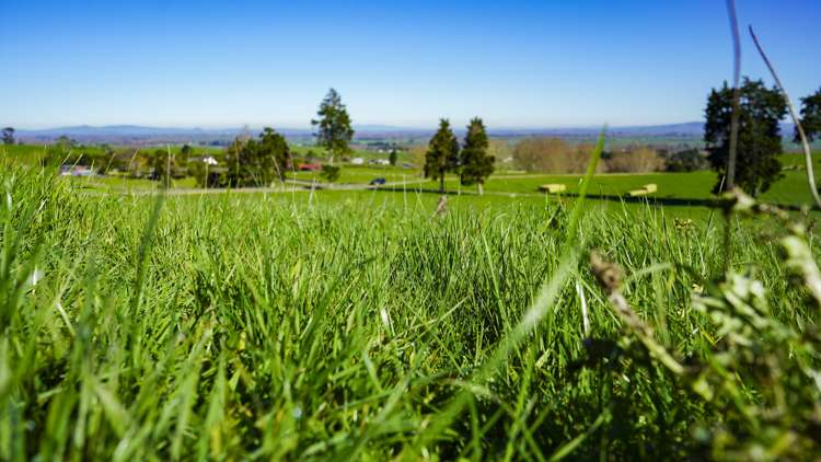 Lot 4, 151 Hill Road Te Aroha_5