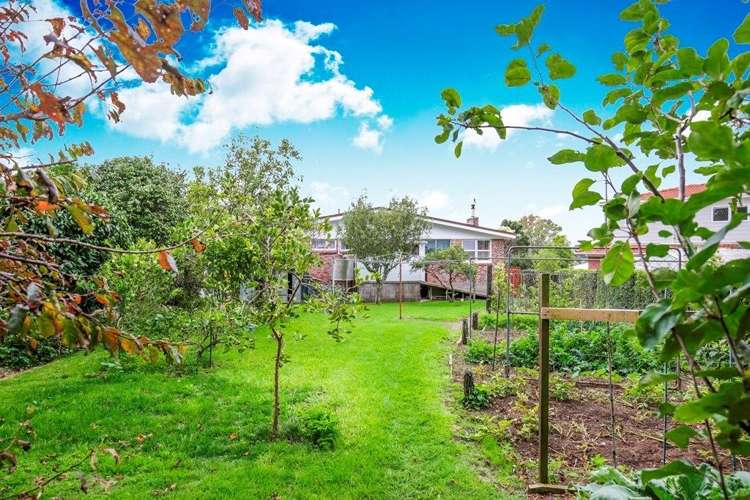 12 Mcclintock Road Massey_4