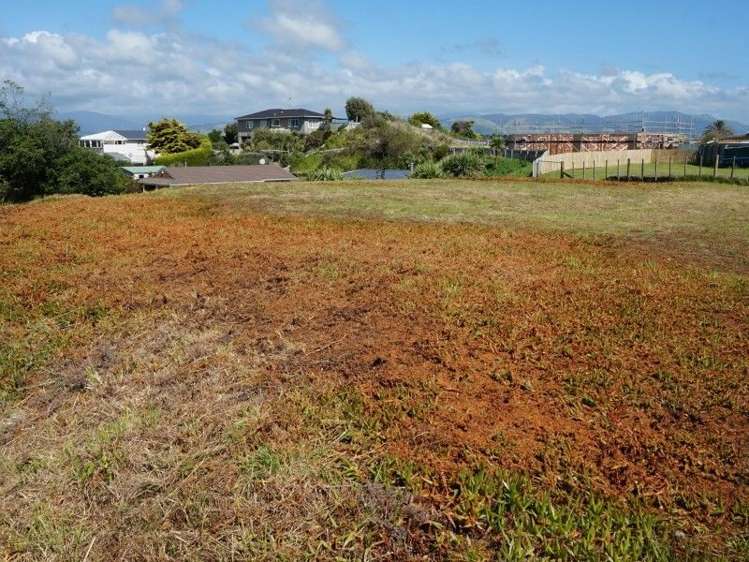 73 Tasman Road Otaki Beach_5