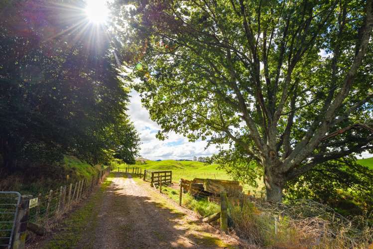 289 Mangatete Road Ngakuru_26