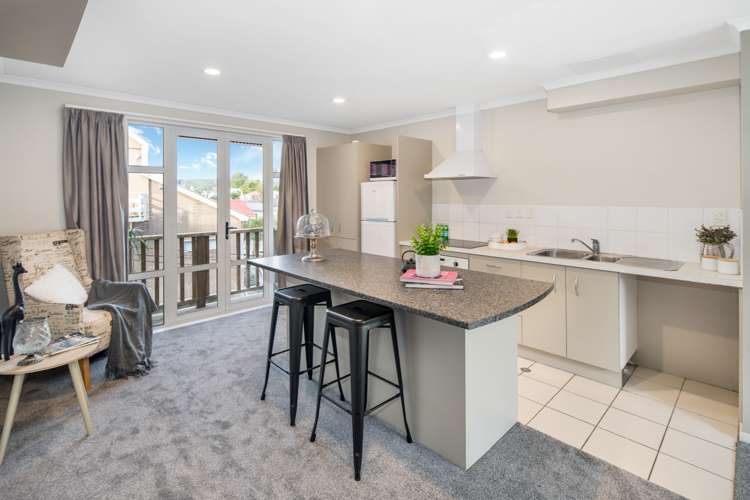 146b Aro Street Aro Valley_2