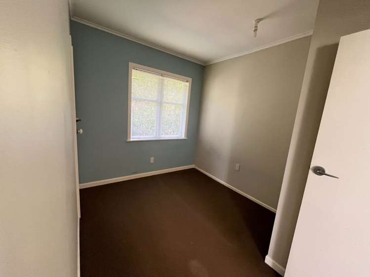 Roberta Avenue Glendowie_8