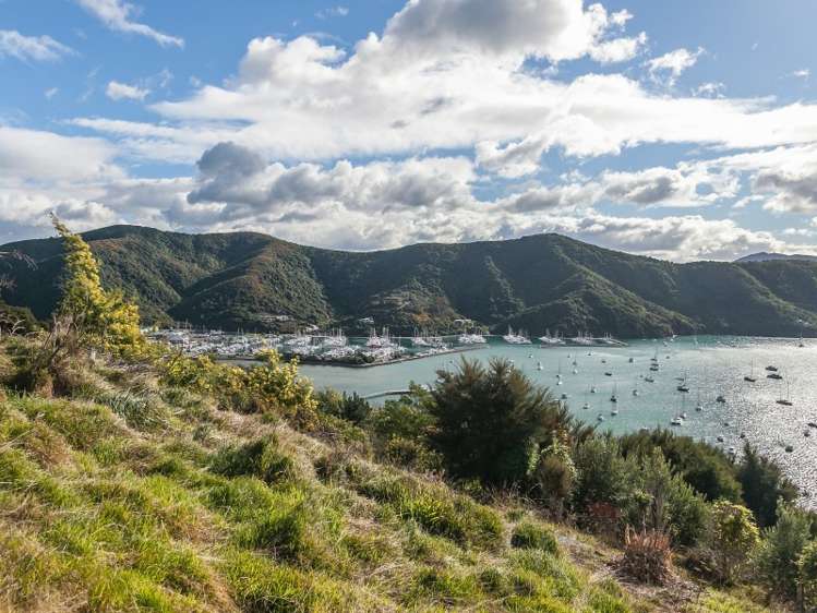 48 Waimarama Street Waikawa_5