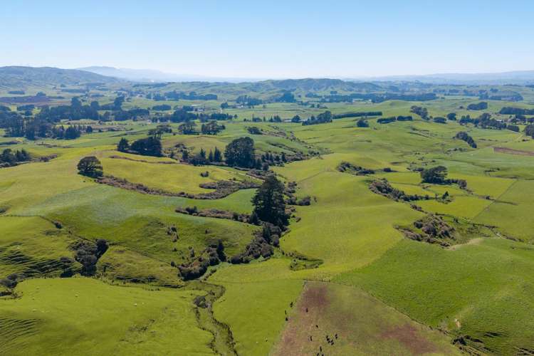 100 Inglis Road Pahiatua_7