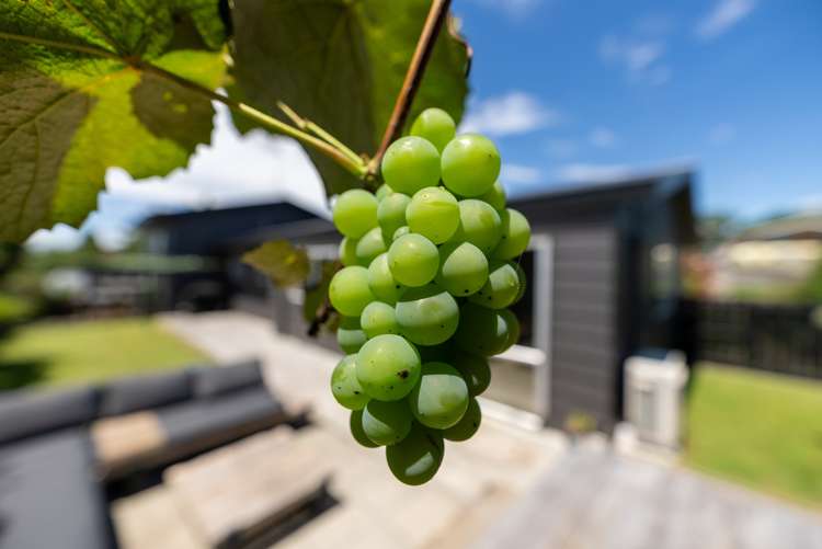 15 Milsom Place Te Puke_21