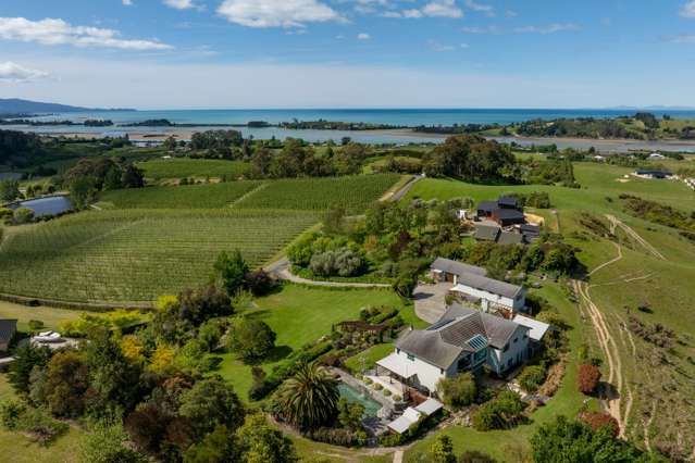 113 Weka Road Tasman_1