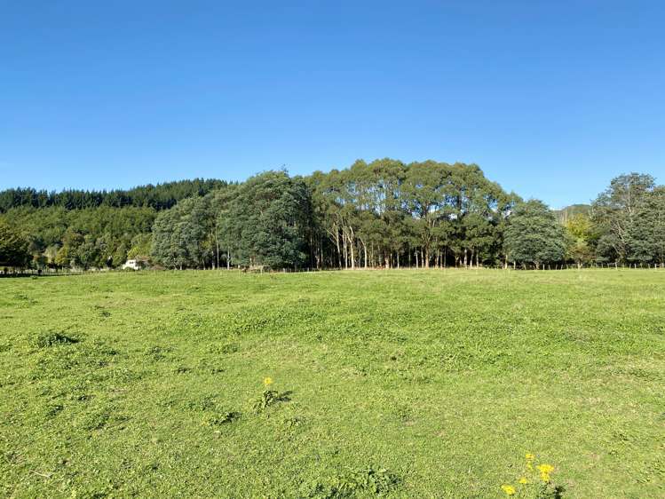 258a Gladstone Road Levin_5