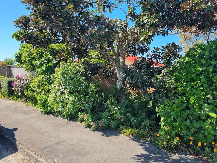 89 Greenwood Street Motueka_42